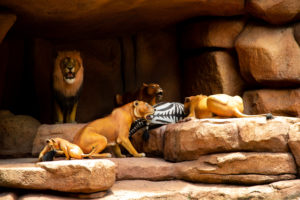 Jungle Cruise Lion Den